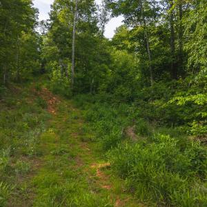 DJI_20250524172343_0219_D