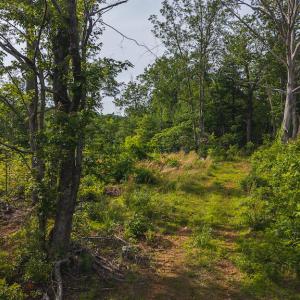 DJI_20250524172935_0226_D