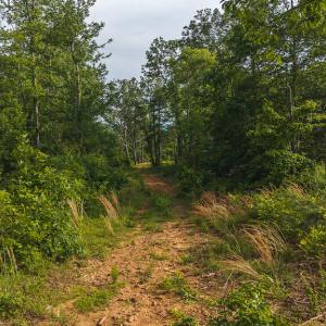 DJI_20250524174111_0235_D