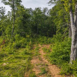 DJI_20250524174311_0240_D