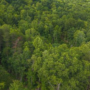 DJI_20250524174403_0243_D