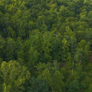DJI_20250524174415_0244_D