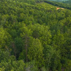 DJI_20250524174425_0245_D