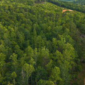 DJI_20250524174445_0247_D