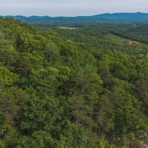 DJI_20250524174940_0255_D