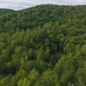 DJI_20250524180055_0264_D