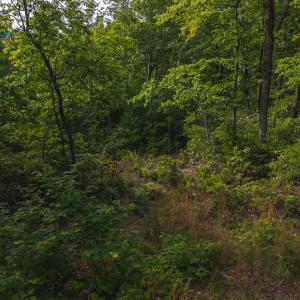 DJI_20250524180121_0265_D