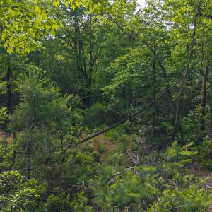 DJI_20250524180133_0266_D