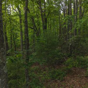 DJI_20250524180552_0272_D