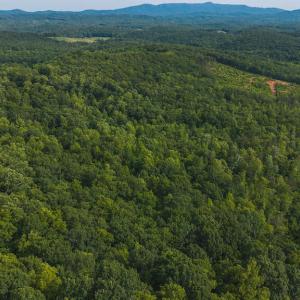 DJI_20250524175020_0257_D