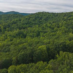 DJI_20250524180647_0275_D