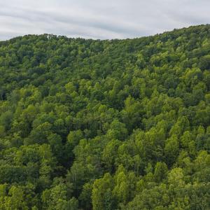 DJI_20250524180710_0276_D
