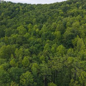 DJI_20250524180735_0278_D