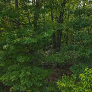 DJI_20250524180825_0280_D