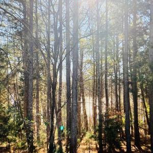 Lot 5 Falcon Ridge Dr - Lake