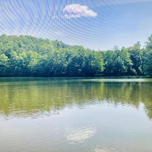 Falcon Ridge Community