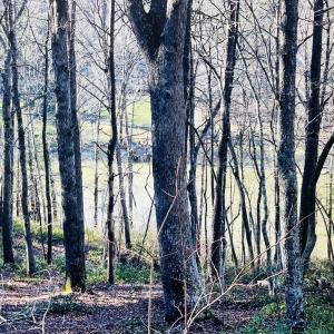 Lot 5 Lake View