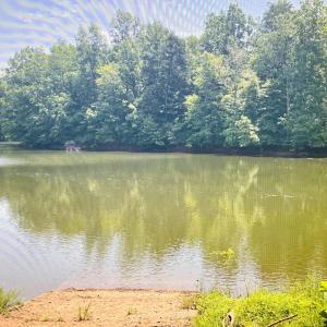 Lot 5 Boat Ramp