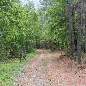Photo #1 of WEST RIVER ROAD (TRACT: JR SADIE FLANAGAN-1), FORK UNION, VA 99.0 acres