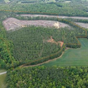 Photo #3 of WEST RIVER ROAD (TRACT: JR SADIE FLANAGAN-1), FORK UNION, VA 99.0 acres
