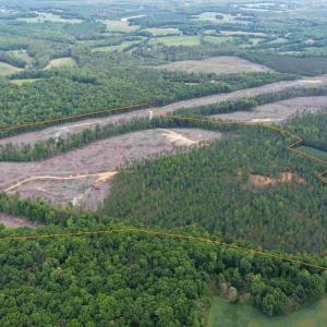 Photo #5 of WEST RIVER ROAD (TRACT: JR SADIE FLANAGAN-1), FORK UNION, VA 99.0 acres