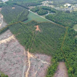 Photo #6 of WEST RIVER ROAD (TRACT: JR SADIE FLANAGAN-1), FORK UNION, VA 99.0 acres