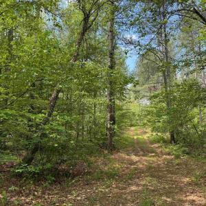 Photo #7 of WEST RIVER ROAD (TRACT: JR SADIE FLANAGAN-1), FORK UNION, VA 99.0 acres