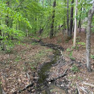 Photo #8 of WEST RIVER ROAD (TRACT: JR SADIE FLANAGAN-1), FORK UNION, VA 99.0 acres