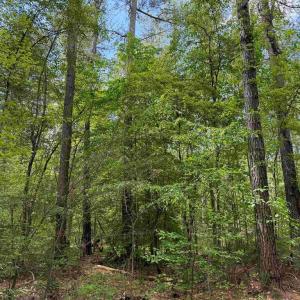 Photo #9 of WEST RIVER ROAD (TRACT: JR SADIE FLANAGAN-1), FORK UNION, VA 99.0 acres