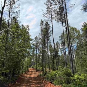 Photo #11 of WEST RIVER ROAD (TRACT: JR SADIE FLANAGAN-1), FORK UNION, VA 99.0 acres
