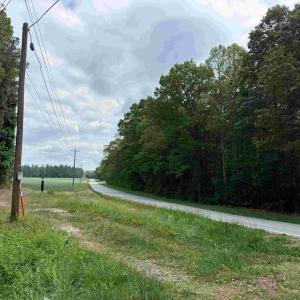 Photo #14 of WEST RIVER ROAD (TRACT: JR SADIE FLANAGAN-1), FORK UNION, VA 99.0 acres
