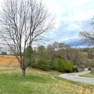 Lot 1 Springhouse Ln