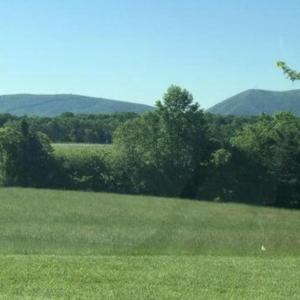 Screenshot 2025-07-07 at 9.17.21PM