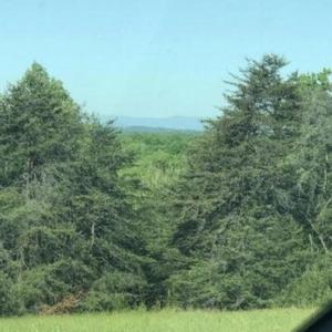 Screenshot 2025-07-07 at 9.17.28PM