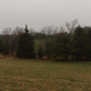 Screenshot 2025-07-07 at 9.17.33PM