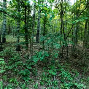 Parcel 2-26