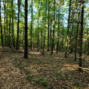 Parcel 2-29