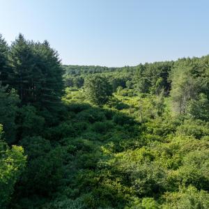Merifield parcel 3