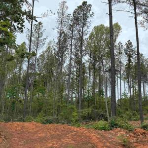 Photo #2 of WEST RIVER ROAD (TRACT: JR SADIE FLANAGAN-2), FORK UNION, VA 88.5 acres