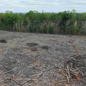 Photo #6 of WEST RIVER ROAD (TRACT: JR SADIE FLANAGAN-2), FORK UNION, VA 88.5 acres