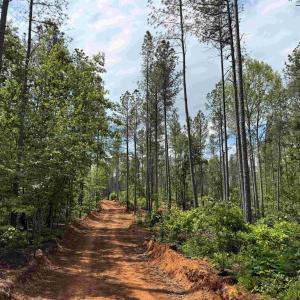 Photo #10 of WEST RIVER ROAD (TRACT: JR SADIE FLANAGAN-2), FORK UNION, VA 88.5 acres
