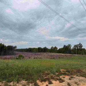 Photo #11 of WEST RIVER ROAD (TRACT: JR SADIE FLANAGAN-2), FORK UNION, VA 88.5 acres