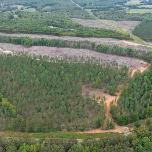Photo #15 of WEST RIVER ROAD (TRACT: JR SADIE FLANAGAN-2), FORK UNION, VA 88.5 acres