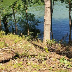 IMG-20240708-WA0003