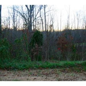 Build Your DREAM Home Today!!!