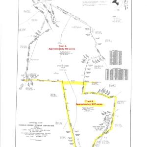 20250718134532_00001