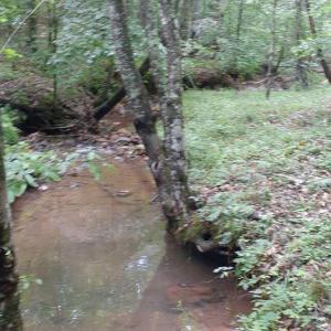 lot 8 Fescue Cir Creek view 2