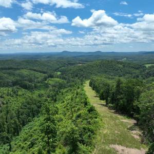 Drone--DJI_0421