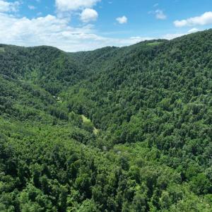 Drone--DJI_0447