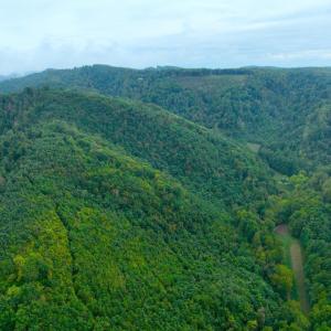 DJI_0818